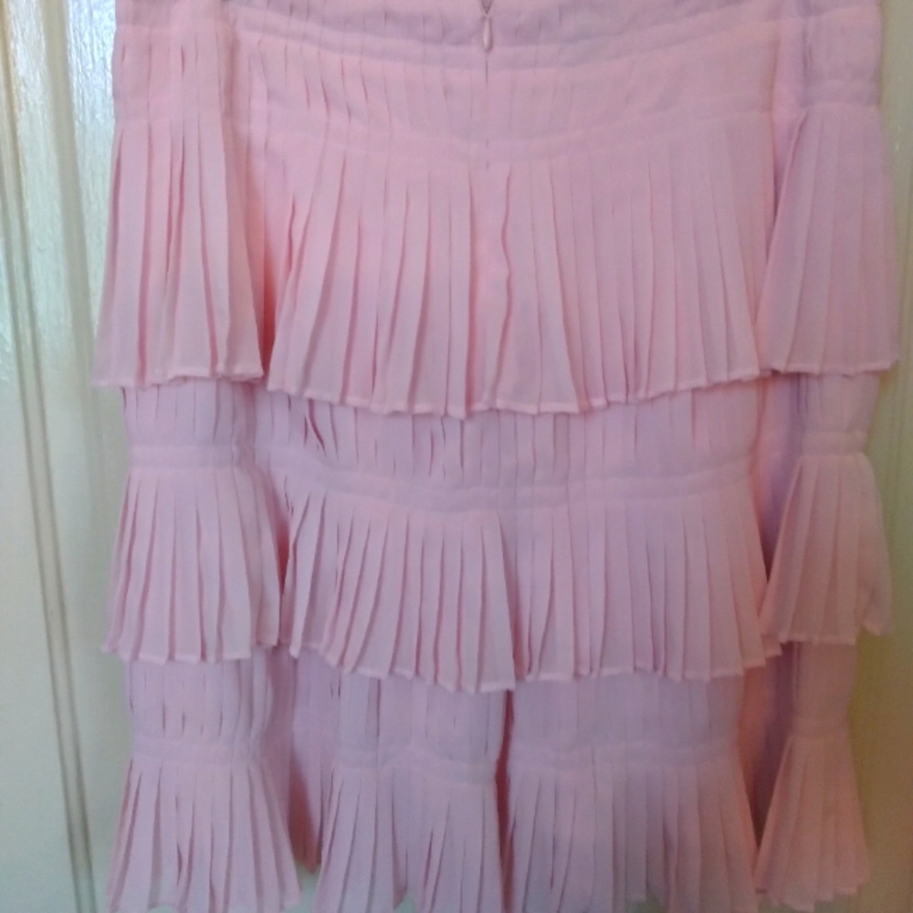 Wet Seal skirt